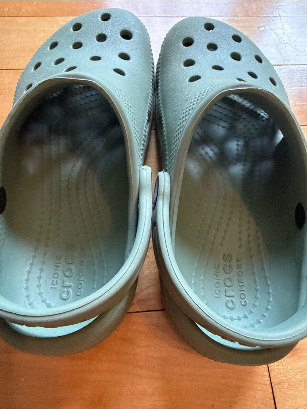 Kids Crocs-Style Clogs in Sage Green